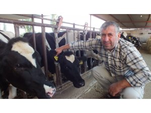 Kurban alırken dolandırılmayın