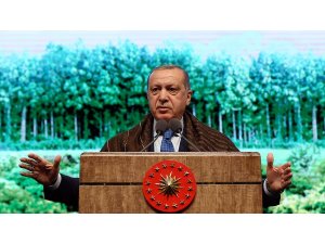 Cumhurbaşkanı Erdoğan: 'Türkiye sınırları boyunca terörist tehdidi ortadan kalkana kadar durmayacak'