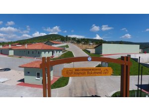 Geçici Hayvan Bakımevi Hizmete Açılıyor