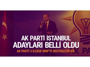 İstanbul Büyükşehir Belediye Başkan Adayı: TBMM Başkanı Binali Yıldırım