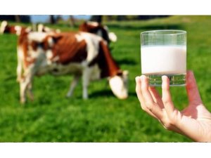 Süt ve süt ürünleri  üretimi azaldı