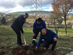 Büyükşehir “Bir Dikili Fidanım Olsun” diyor