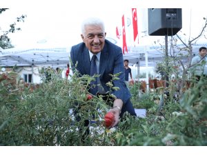 Muğla’da Üretilen Yerel Tohumlar 42 İlde Toprakla Buluştu
