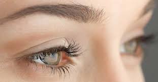 Kaş Ekimi Nasıl Yapılır