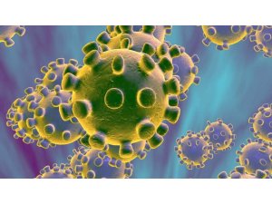 Korona virüsünü  güneş öldürüyor