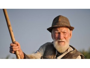 MUĞLA'NIN YÜZDE 12,4 YAŞLI