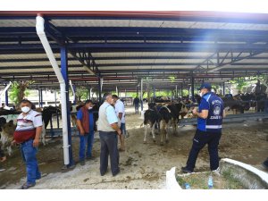 Bayır Hayvan Pazarı tedbirlerle açıldı