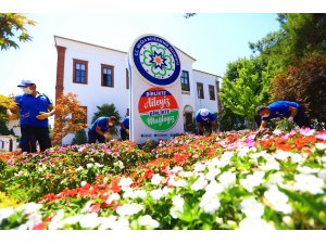 Muğla Büyükşehir Muğla’yı Renklendiriyor