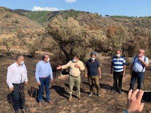 CHP’Lİ ÖZCAN: ORMAN YANGINLARI ÖNLENEBİLİRDİ!