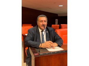 Gürer: “Şiddet, toplumsal bir karşı duruş ile önlenir”