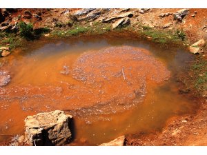 BELEDİYE CANSUYU OLMAYA DEVAM EDİYOR