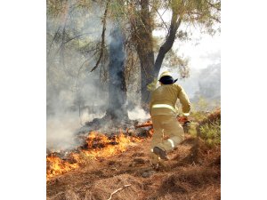 Muğla İli Orman Yangınları ile Mücadele Komisyonu Toplantısı Vali Orhan Tavlı Başkanlığında Gerçekleştirildi