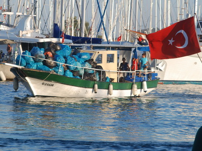 Denizden çok sayıda kadın pedi çıktı