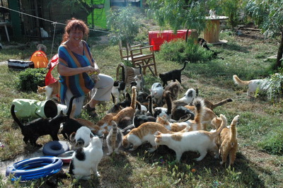 Kedilerin İskoç annesi