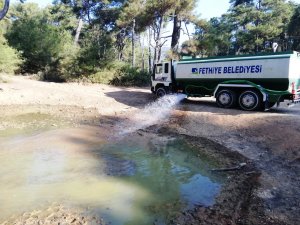 Yabani Hayvanlara Su