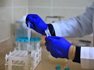 Yerel Tohumlar Laboratuvarlarda Test Ediliyor