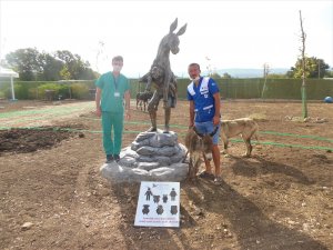 3 Eşek Bursa’ya Gönderildi