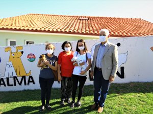 Muğla’da 2 Bin 97 Hayvan Sahiplenildi