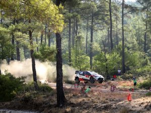 Muğla'da doğa tahribatına izin verilmiyor