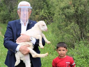 Muğla Büyükşehir’den 100 Aileye 300 Kıl Keçisi