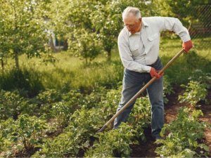Hareket etmek yaşlılığı geciktiriyor