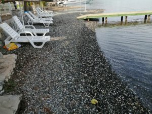 Ceyhun Gökmen Müjdeyi verdi