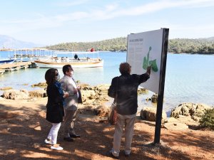 Vali Orhan Tavlı, Sedir Adası’nda 