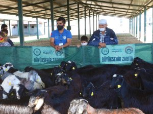 Kırsal Kalkınma İçin Kadın Üreticilere Destek