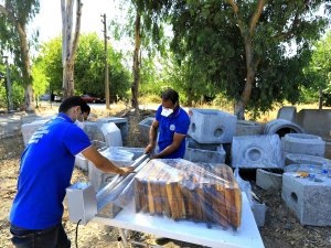 Muğla Büyükşehir, Yaklaşık 50 Bin Petek Şokladı