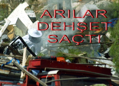 Arılar yaralalıra saldırdı, 1 kişi öldü