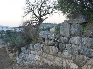 Başkan Aras:"Tarihi Bir Hazinenin Üstünde Oturuyoruz"