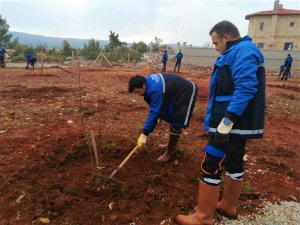 Muğla Büyükşehir’den “Hortikültürel Terapi”