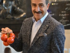 Rusya Türk domatesinin kotasını 250 bin tona çıkardı