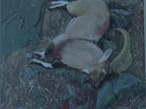 Muğla Büyükşehir’in Ödüllü Resim Yarışması Sonuçlandı