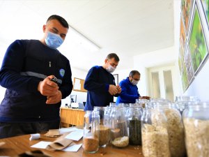 Muğla Büyükşehir, Yerel Tohumların Dağıtımına Başladı