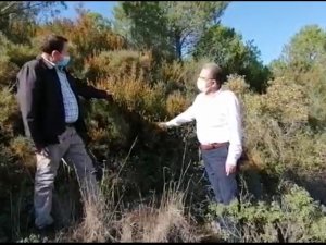 Girgin: Arıcıların Ekmeğiyle Oynamayın Mesire Yeri İhalesini İptal Edin