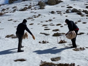 Yaban hayatına destek verdiler
