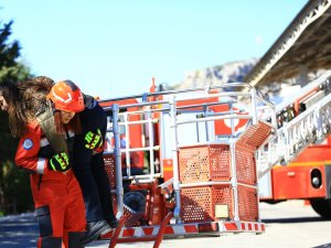 Kadın Emeği İle Muğla Güzelleşiyor