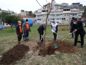 Sağlıkçılar Anısına Fidan Dikildi