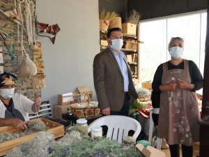 Karaova Cazibe Merkezi Olacak