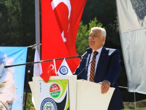 Muğla Çam Balı ve Bal Üreticisine Büyük Destek