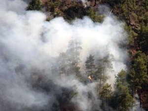 Muğla'daki orman yangınlarında 'sabotaj' şüphesi! Soruşturma başlatıldı