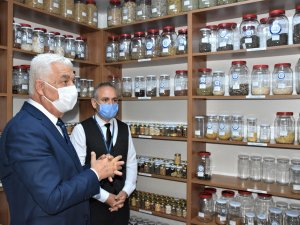 Yerel Tohumlar 2022 için Toprakla Buluştu