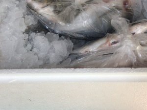 Sağlık Çalışanlarına Teşekkür!