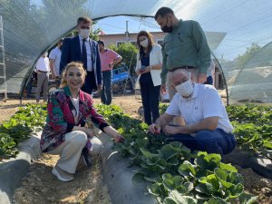 Yatağan’a 350 milyon liralık dev tarımsal yatırım