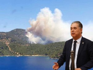 CHP’li Özcan: Ormanlarımız Ranta Kurban Ediliyor