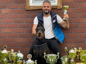 Dünyanın en ünlü köpek eğitmeni bir Türk: Erdem Ayaz