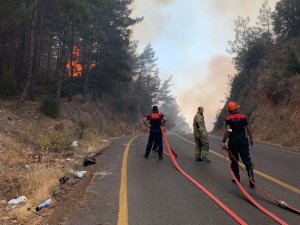 Maltepe Belediyesi ekipleri Marmaris’te yangınla savaşıyor