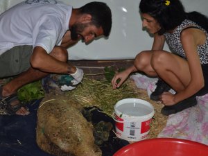 HAYTAP, MANAVGAT VE MARMARİS’TE İLK SAHRA YAŞAM HASTANESİNİ KURDU