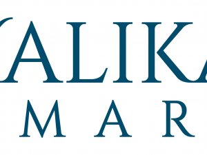 Yalıkavak Marina’dan Fidan Bağışı Kampanyasına Destek!